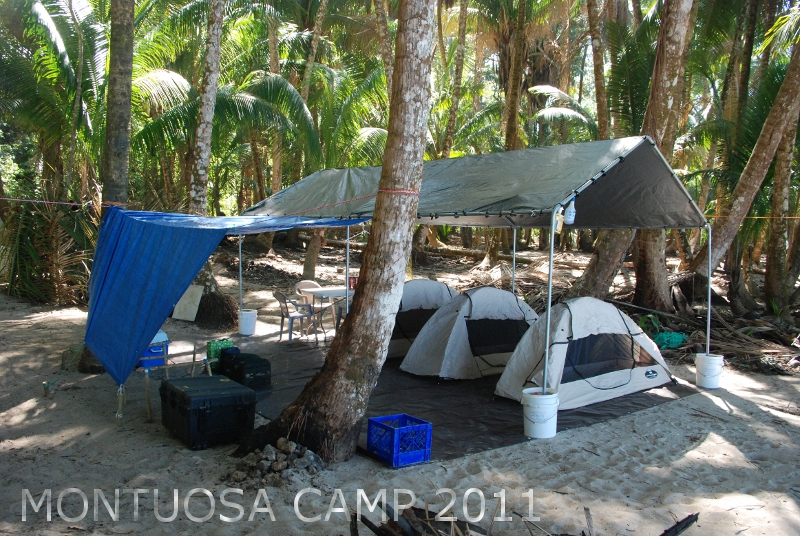 Island camp