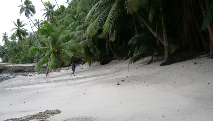 Isla Montuosa beach