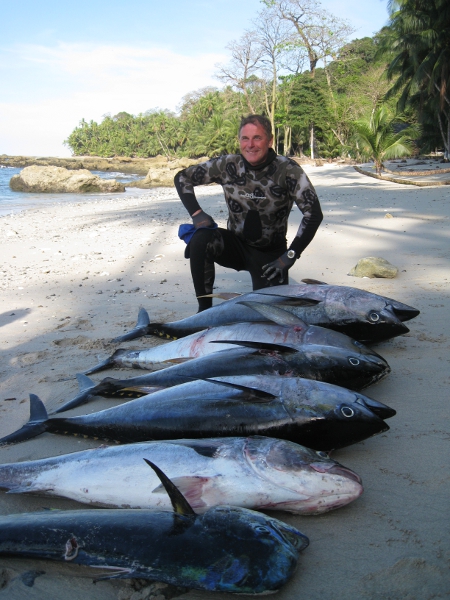 Pelagic yellowfin tuna